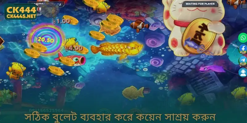 সঠিক বুলেট ব্যবহার করে কয়েন সাশ্রয় করুন