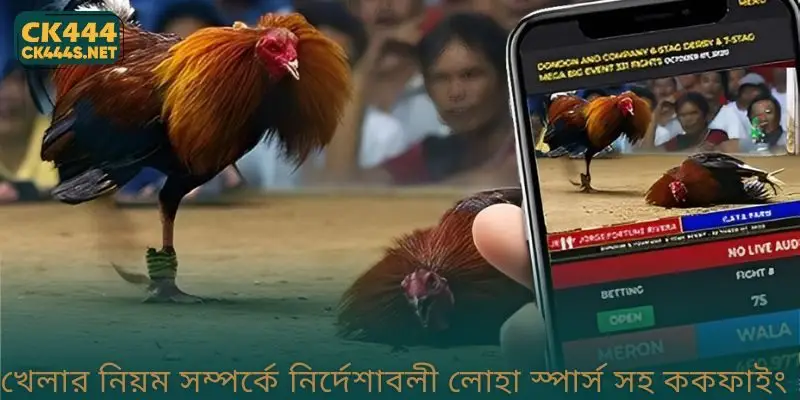 খেলার নিয়ম সম্পর্কে নির্দেশাবলী লোহা স্পার্স সহ ককফাইং