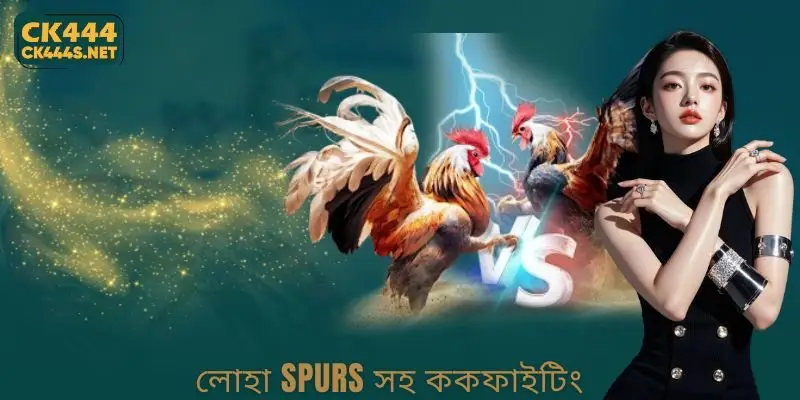 Cockfighting with Iron Spurs